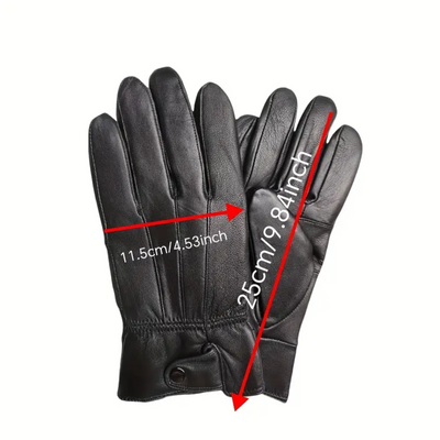 Aster | Classic Full-Finger & Fingerless Gloves